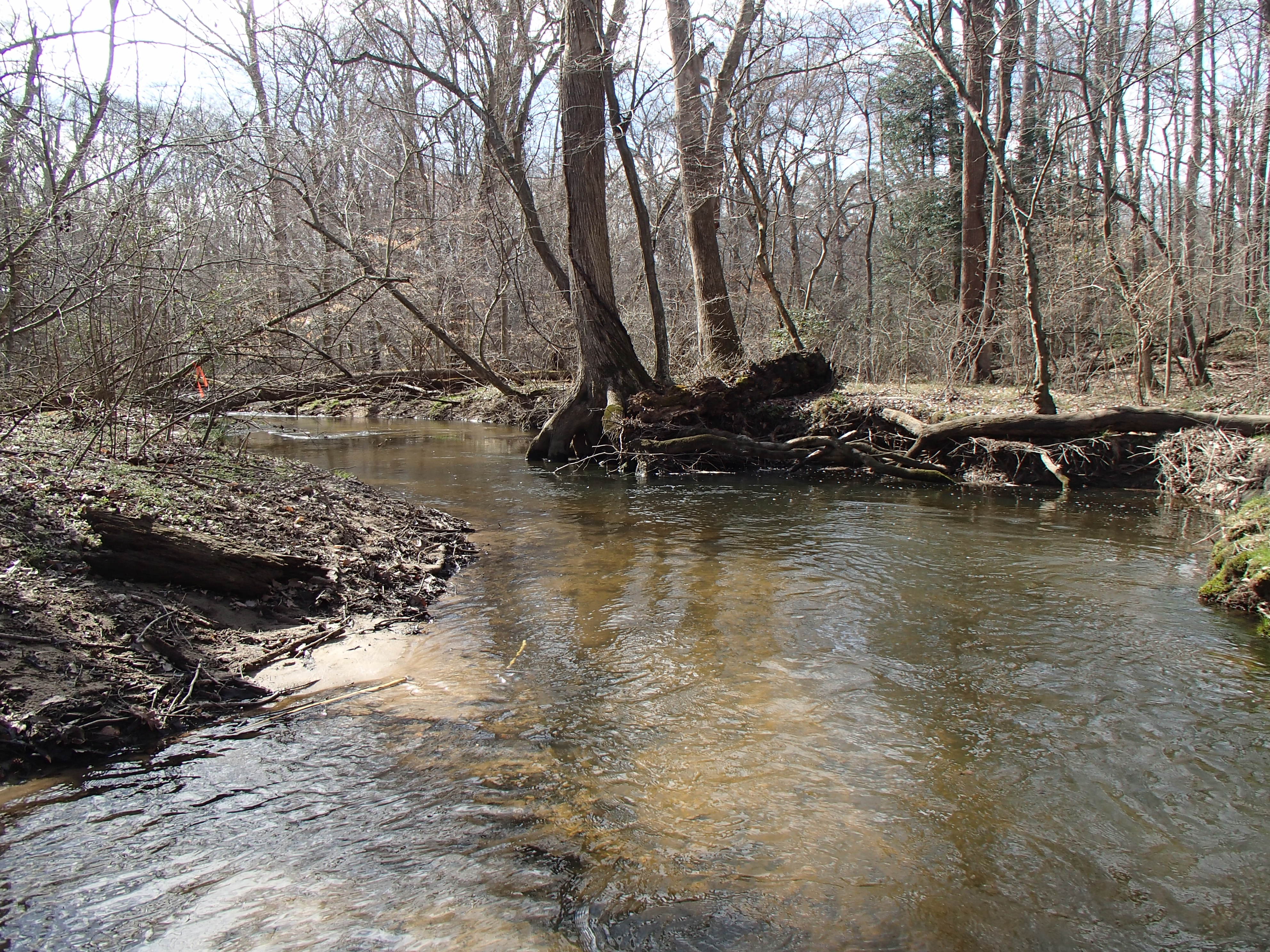 Field photo showing stream conditions at site UPCK-202-R-2016_Midpoint looking downstream